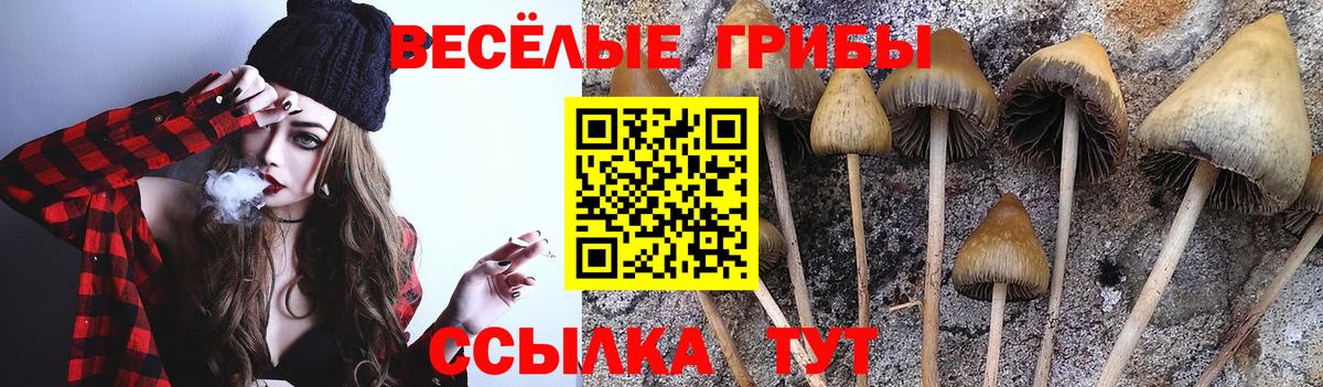 Гашиш  МЕТ  Вход с VPN  Каменск-Шахтинский  Cocaine  Гашиш  Конопля  Мефедрон  