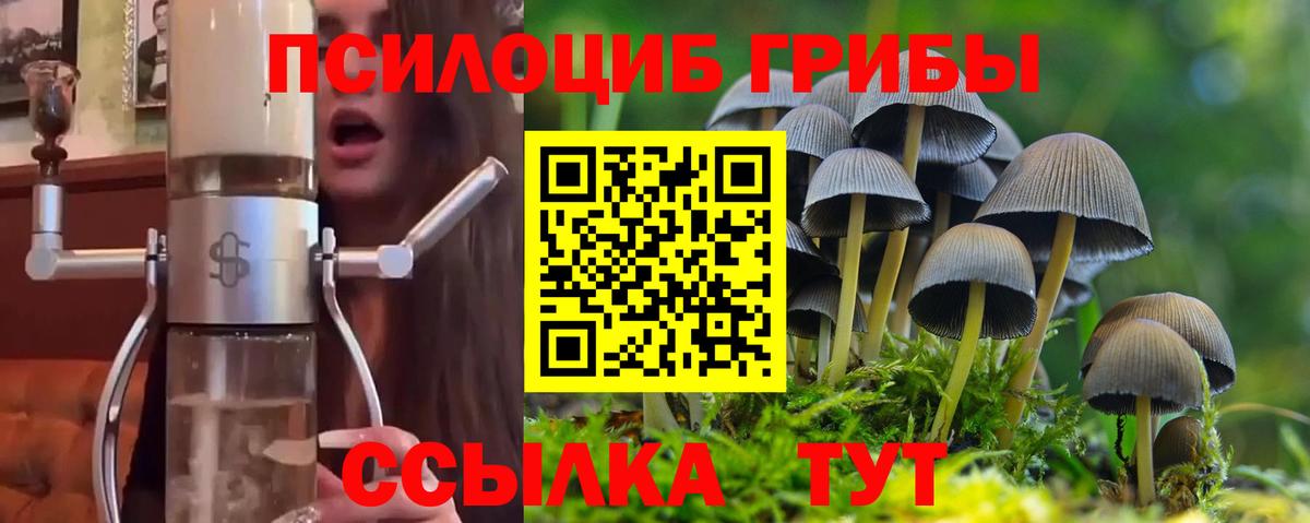 Галлюциногенные грибы GOLDEN TEACHER  Вход с VPN  Каменск-Шахтинский 